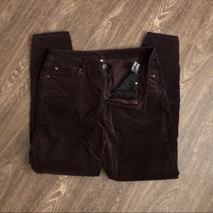 Tribal velvet jegging size 14